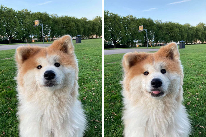 34. "Just met this girl in the park - she mlem."