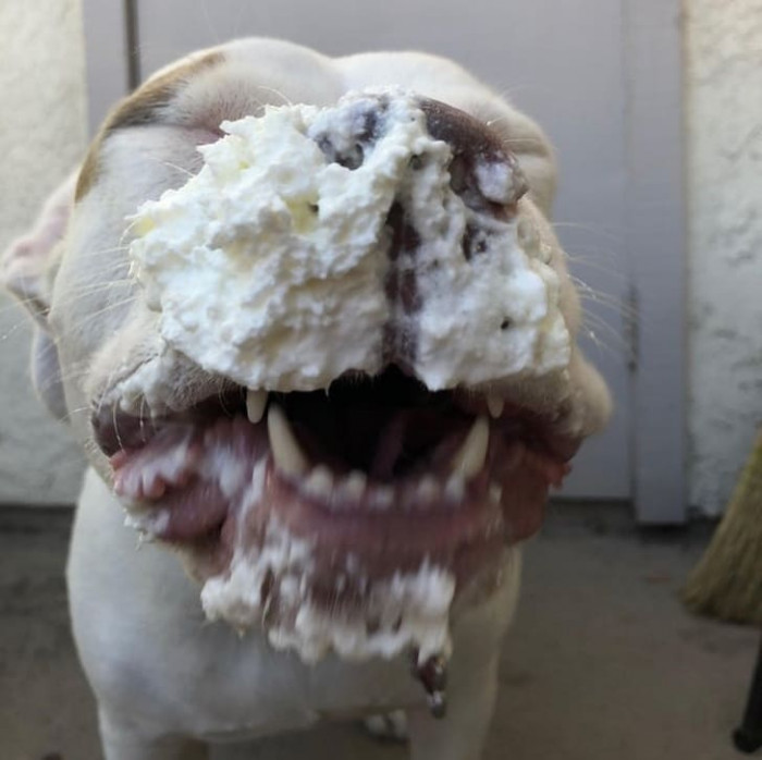 3. Cheeeese!
