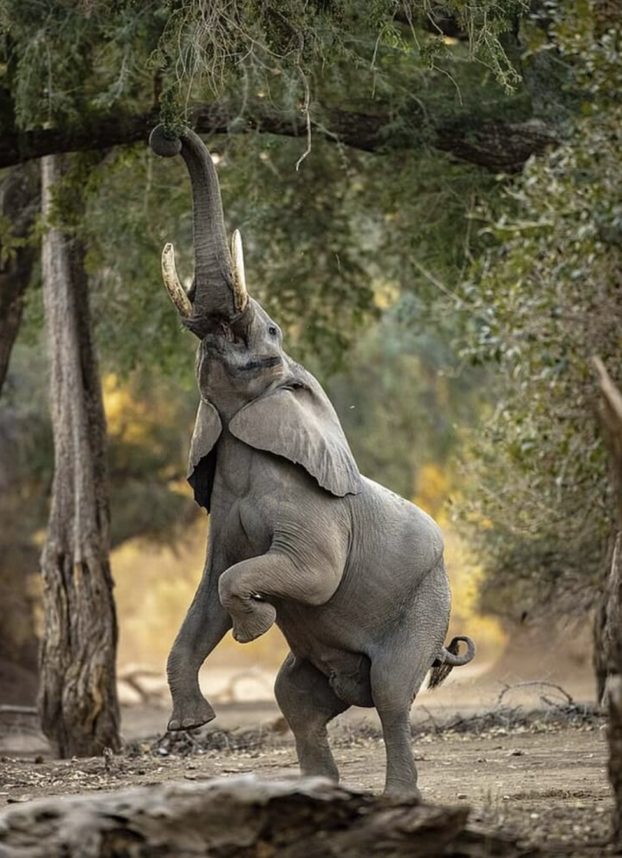 Just within reach...