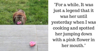 Woman Has Been Receiving Flowers From A Mysterious Admirer And She Decided To Film It, But She Didn't Expect A Squirrel