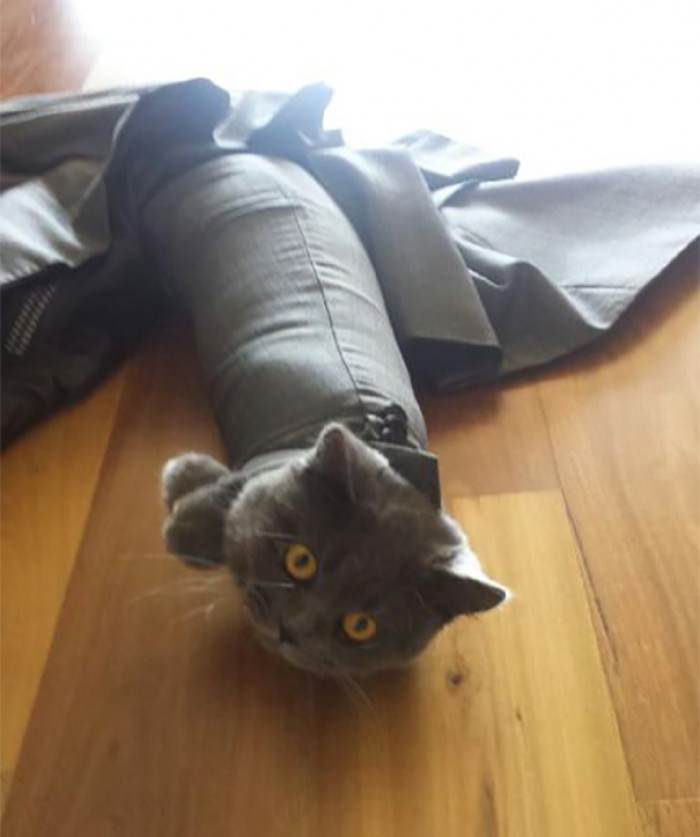 This is why you should always hang your suits up, I guess...