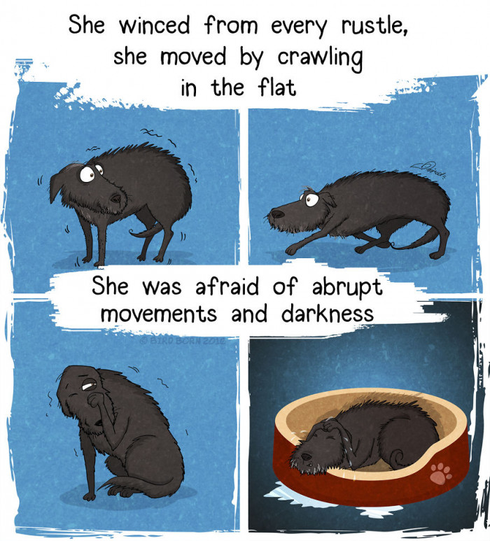 Their behavior is a mystery.