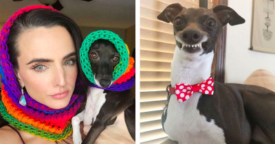Hysterical Dog's Facial Expressions Cheer Up Woman Stuck At Home Due To Her Chronic Illness
