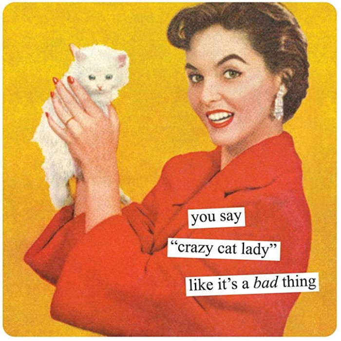 19. Anne Taintor Square Magnet