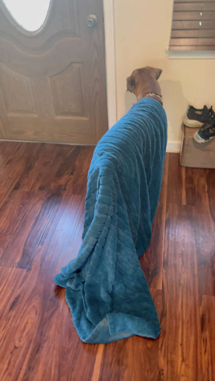 He really does take it with him everywhere!