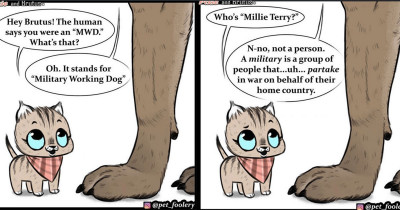 This Comic About Dogs in War Will Bring You to Your Knees