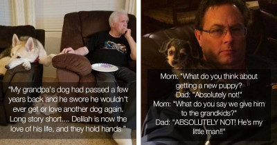 Lovable Dogs Change The Hearts And Minds Of People Against The Idea Of Adopting A Dog