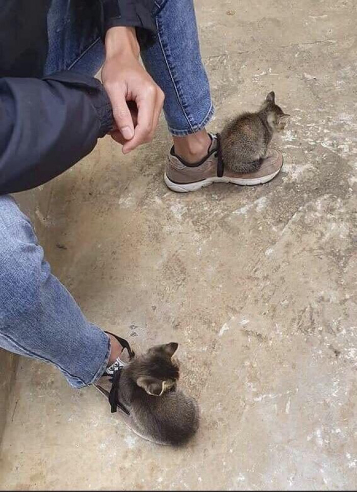 2. "Boots with the FURRR"