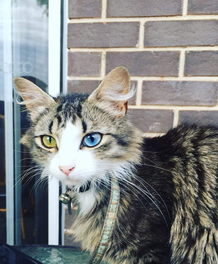 "My Aliythia has the best eyes ever!"