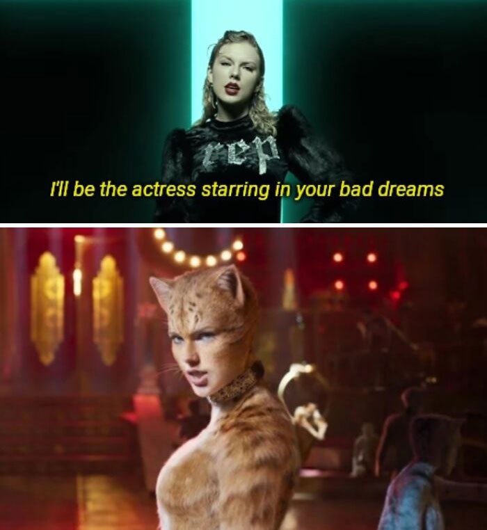 17. Oh man, those cats.