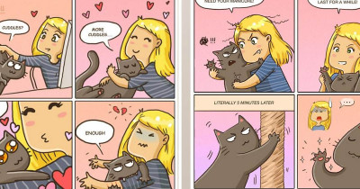 Cat Comics That Highlight How Great Life Is When You Own A Cat