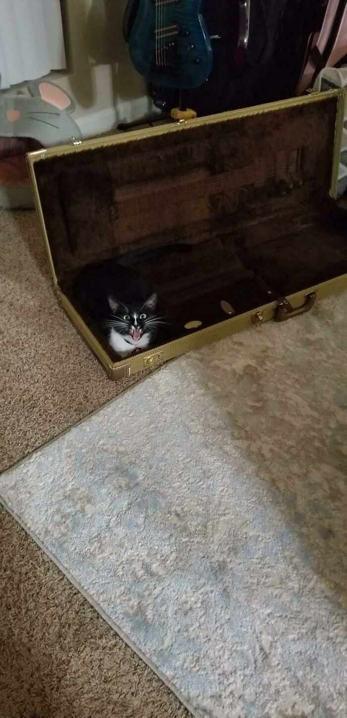 28. Caught Her Mid Yell In The Guitar Case