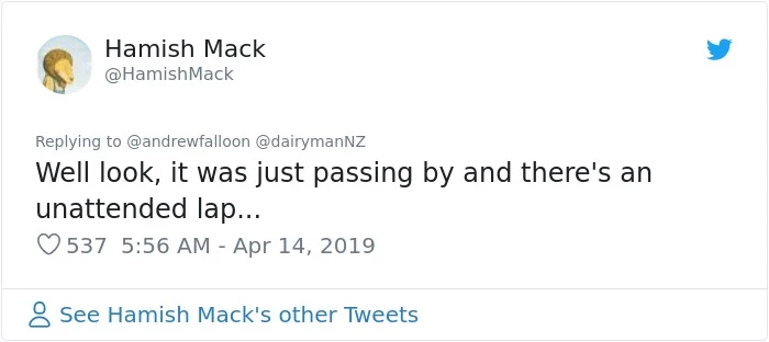 A good cat knows to never leave a lap unattended.