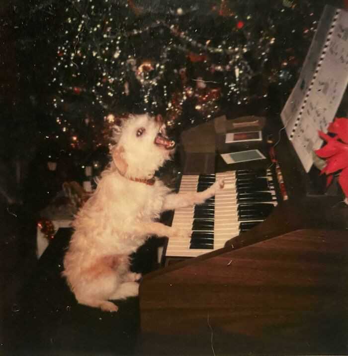 43. "My Dad’s Childhood Dog, Nasty"