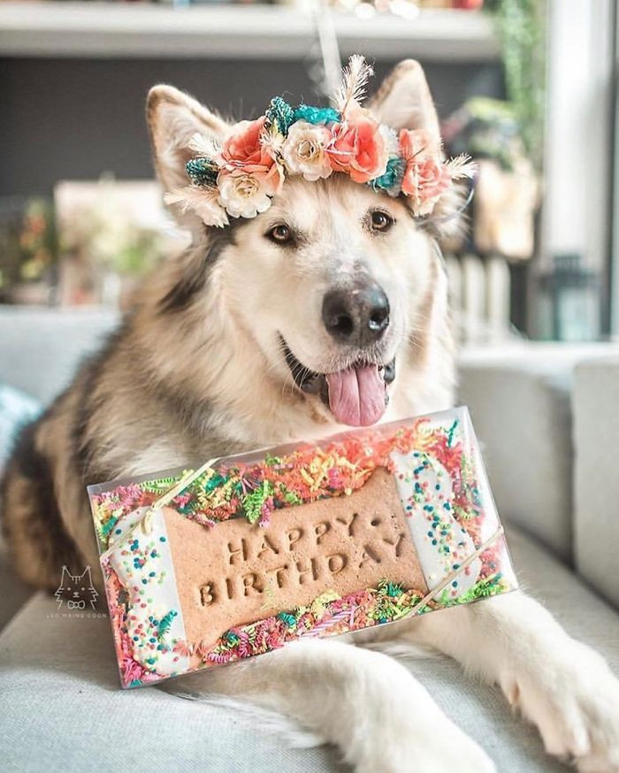 Celebrate Good Times