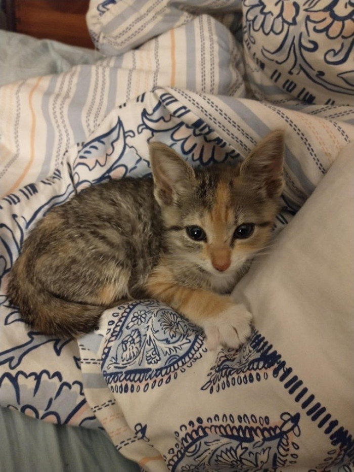 8. Beautiful colors on her.