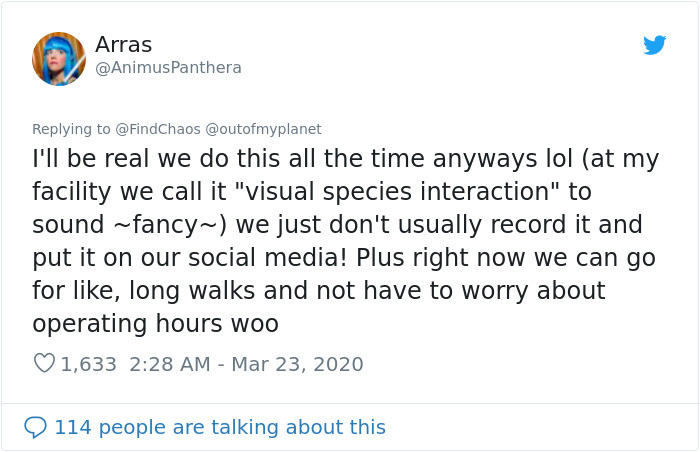 One commenter weighed in on the subject.