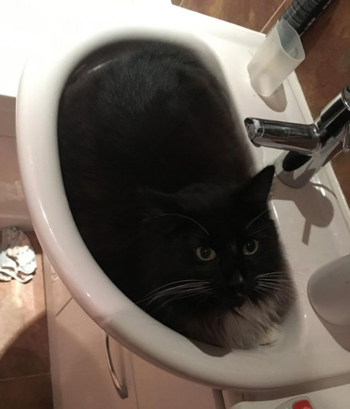 20. “Not what I expected to see when I turned the light on!”
