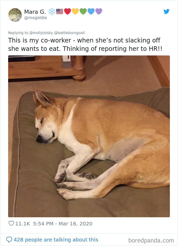 Working from home supervisor character points at a messy office setup.