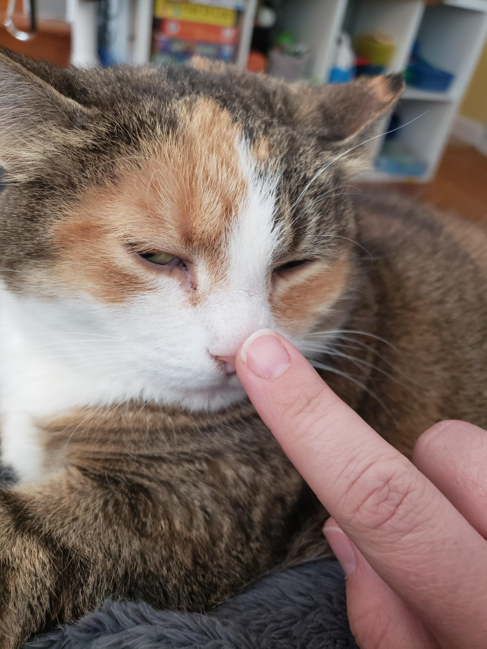 19. "She is not a fan of the boop."