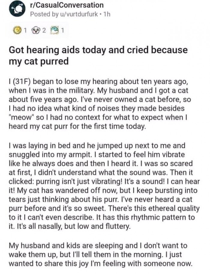 16. Hearing a cat purr has never felt so beautiful