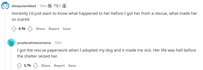 8. Use it to find out the truth about their traumatic life—and make up for all of it by giving them the best life you can provide!