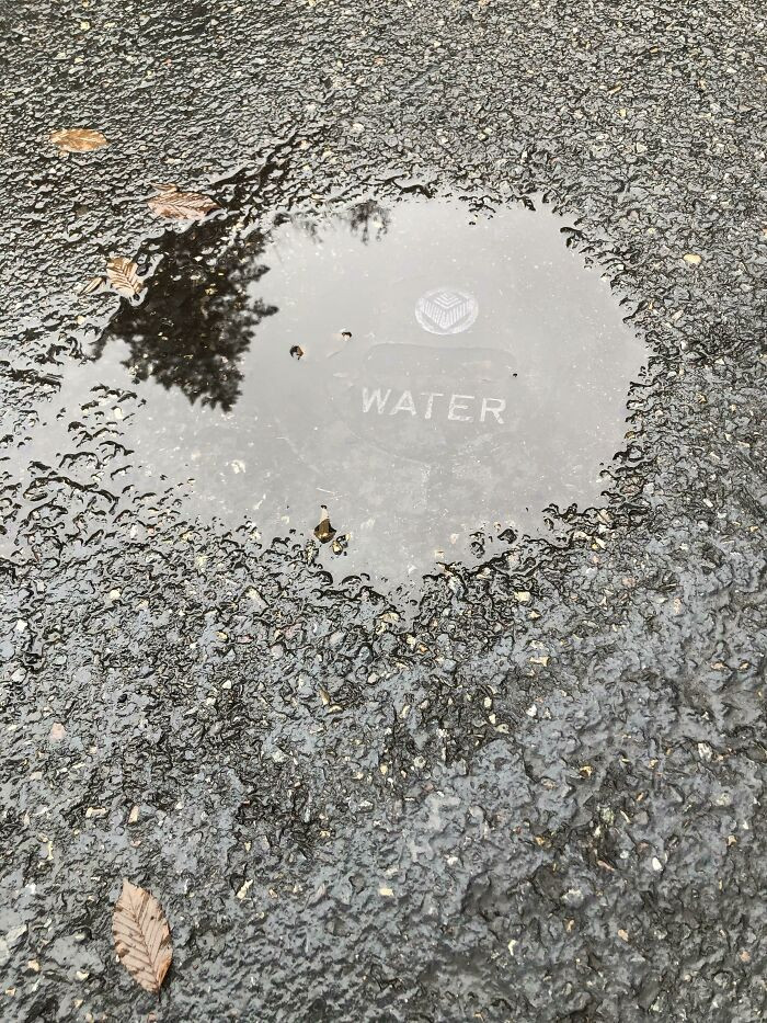 32. A labeled puddle