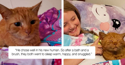 Woman Finds A Random Cat In Her Daughter’s Bed And Shares The Story Online