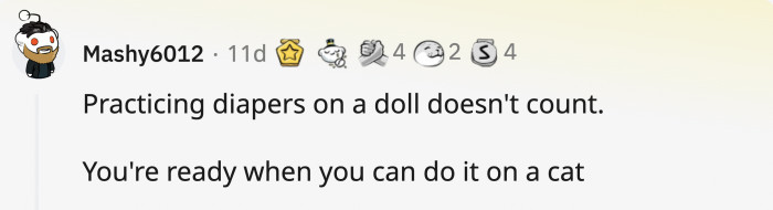 A cat...that refuses to take a bath...and hates you