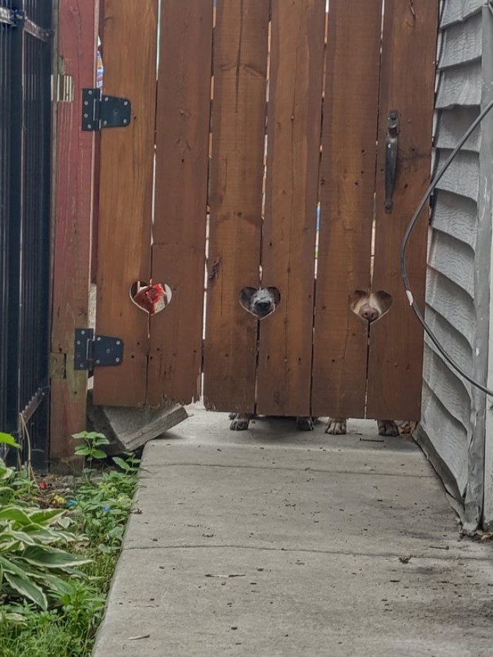 4. Just three friends hanging out and bonding well