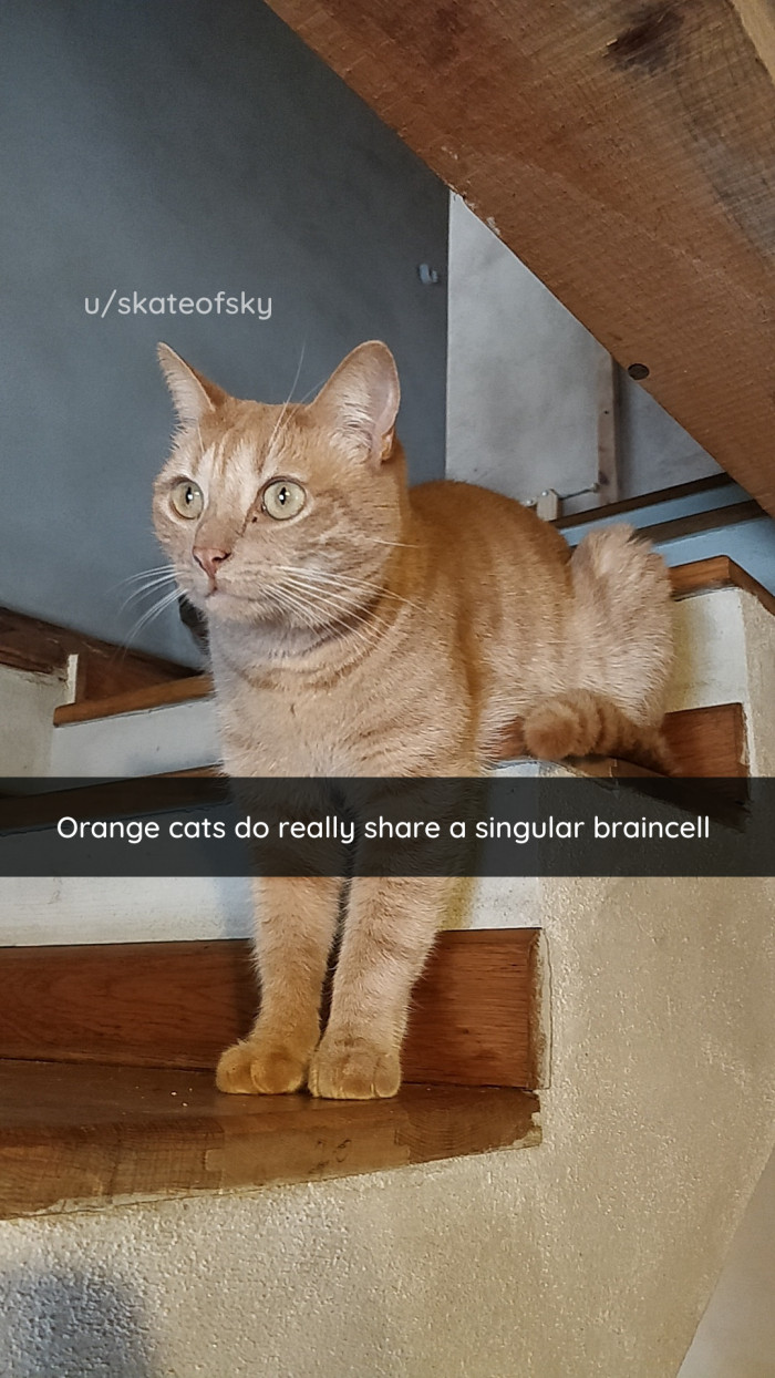 25. This theory is backed by science.