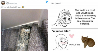 Two Paws Up For The Internet's Funniest Cat And Dog Tweets