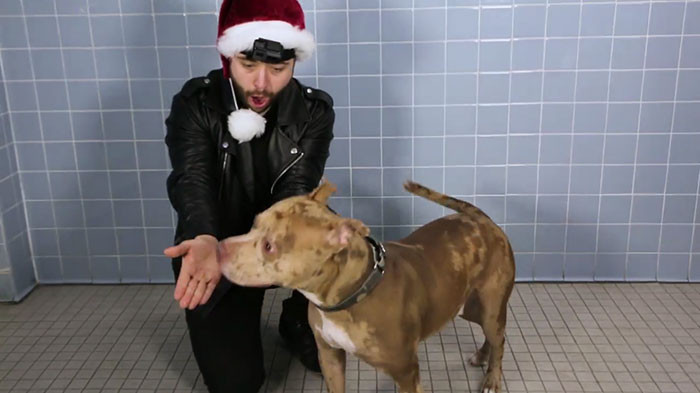 Magician John performs sleight-of-hand magic for shelter dogs at Hempstead.