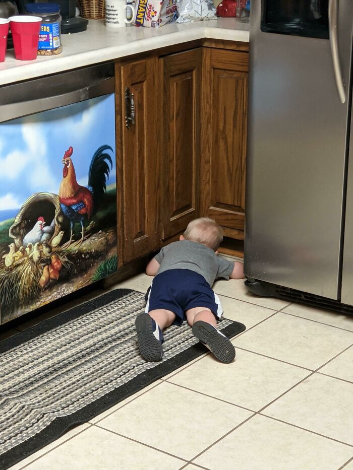 31. My son is hiding away from me