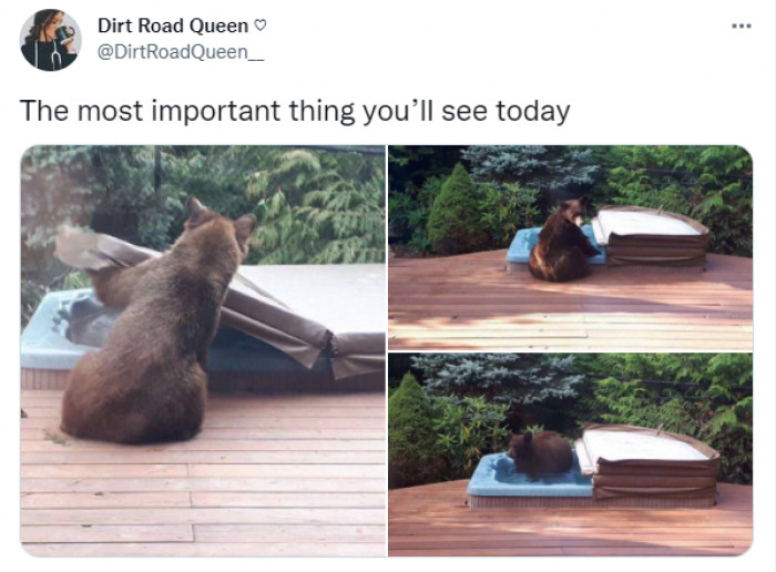 19. “The most important thing you’ll see today.”
