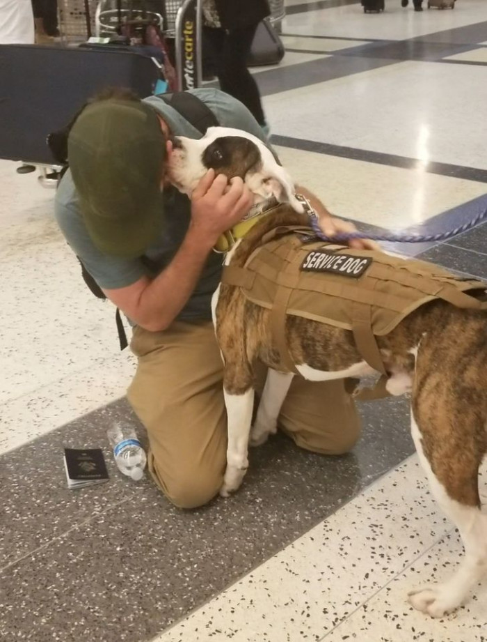 10. A lovely moment when a service dog reunites with its handler after a lengthy absence.