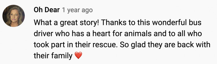 It really was a group effort that wouldn't have happened if Jamie didn't see the dogs and help them