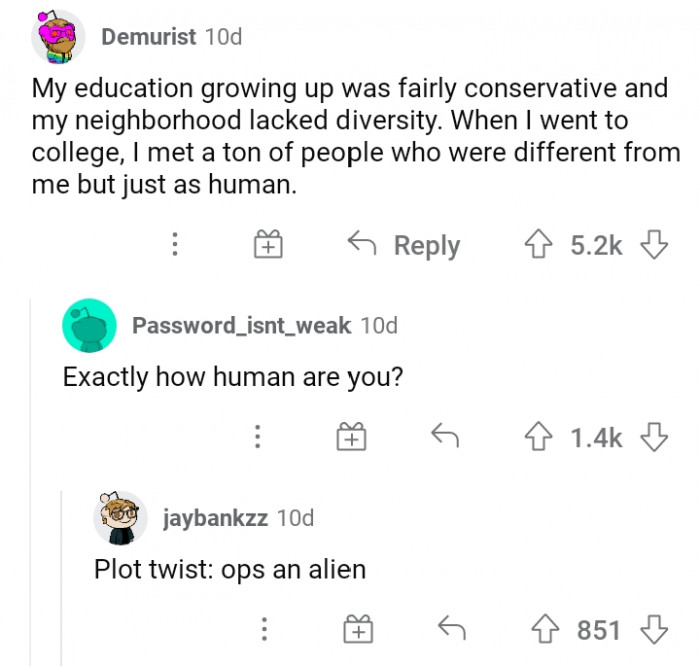 #10 Met People Who Are Different from a Conservative Community with No Diversity