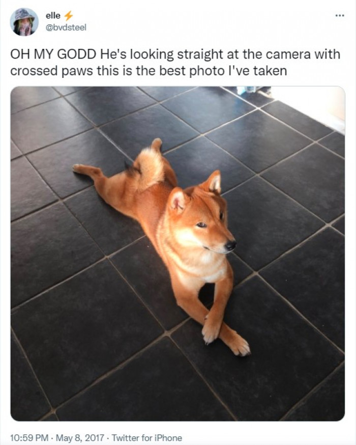 22. He's a great poser.