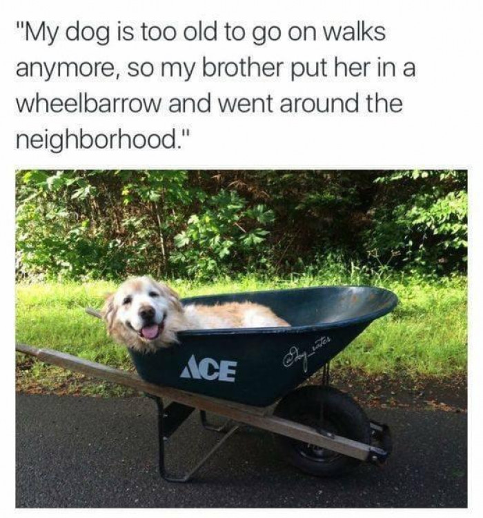 25. Living her golden years with a smile