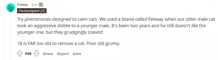 Commenters are here to give her advice on other alternatives for the cat instead of rehoming it.