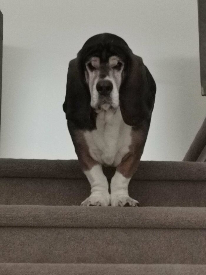 46. Ellie judges and disapproves of everyone