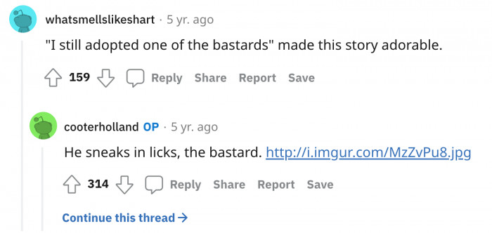 An adorable TIFU story indeed.