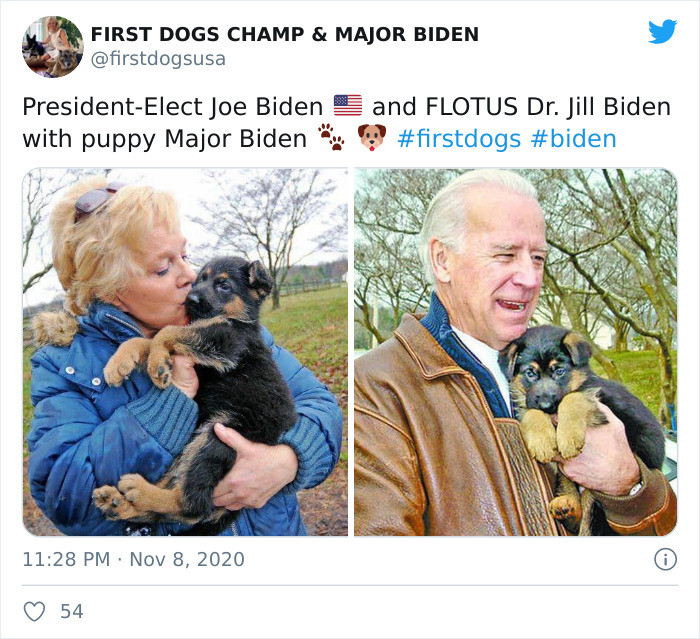 Even Teddy Roosevelt had a pet... a rooster.