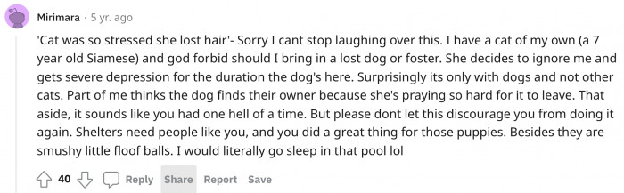 The poor stressed cat lost hair.