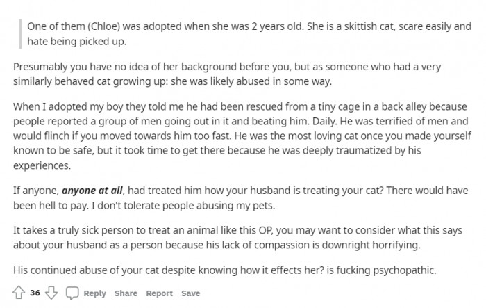 As someone who owns an adopted cat, this redditor understands what Chloe has gone through. She simply doesn't tolerate the husband's behavior.