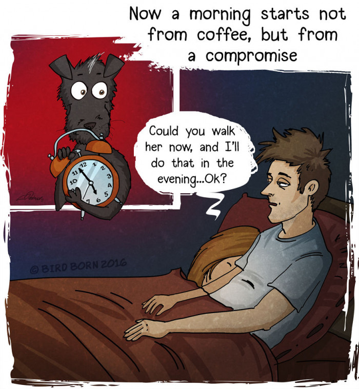 Person suddenly adopts a dog, transforming an ordinary day into joy