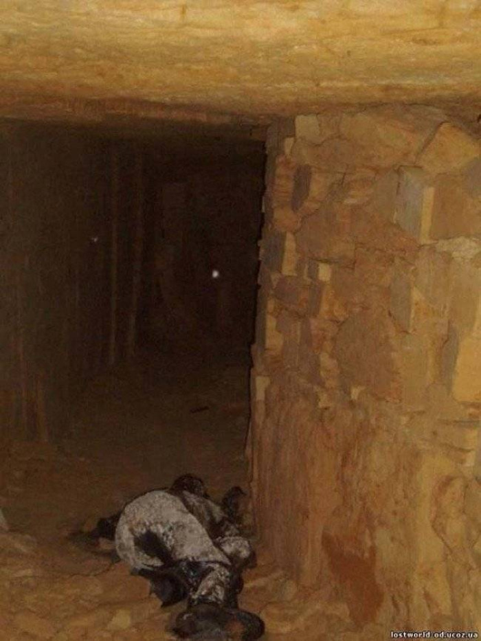 16 Photos With Terrifying Back Stories