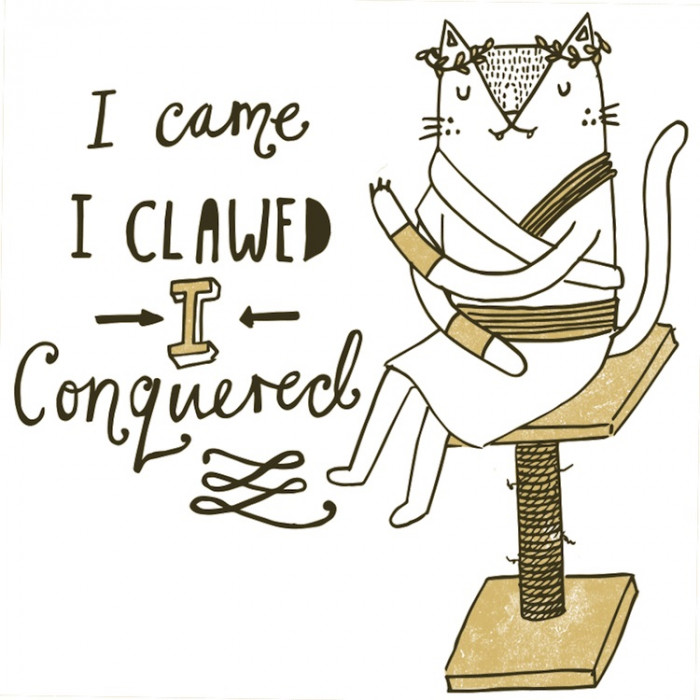 17. I Came. I Clawed. I Conquered.