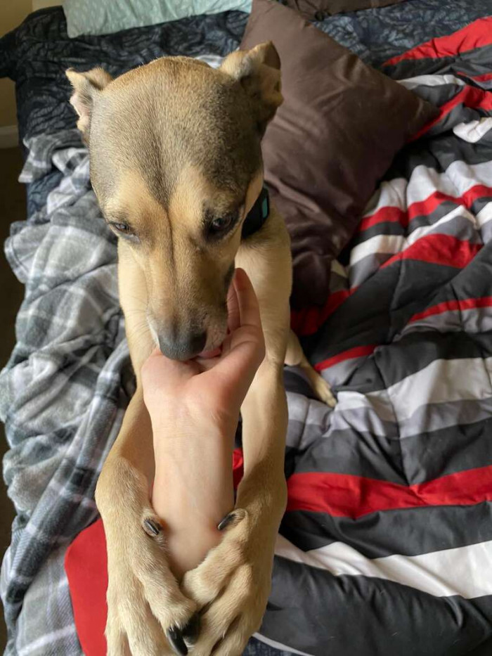 Sebastian's embrace simply continues to give.